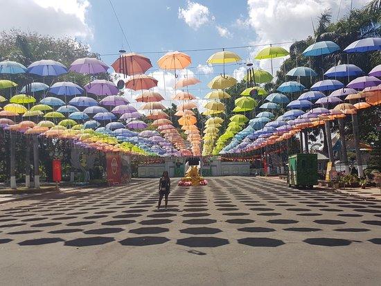 Đầm Sen Forlystelsespark